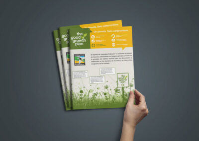 Brochure design company New York, Miami