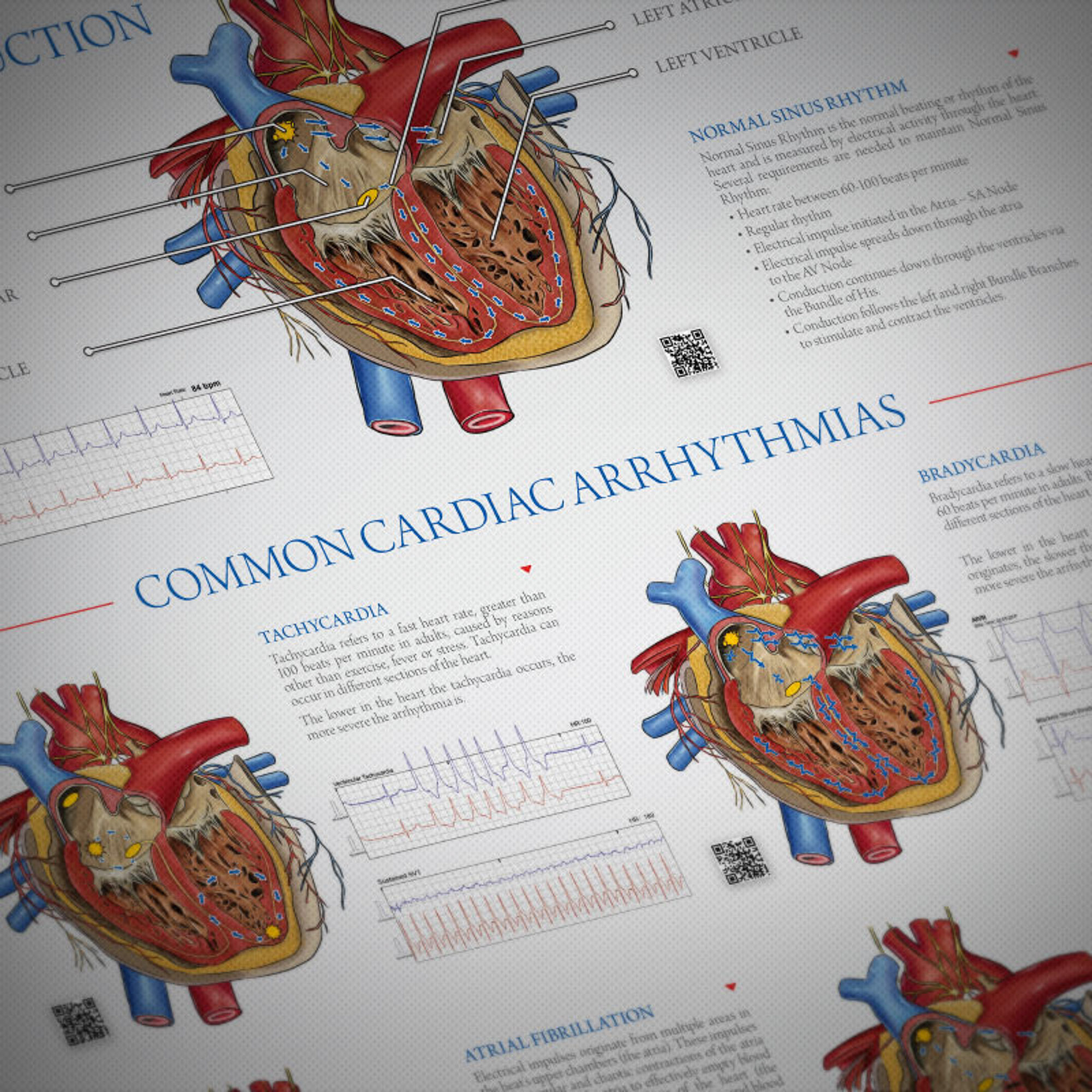 Design for the Medical Pharma Industry